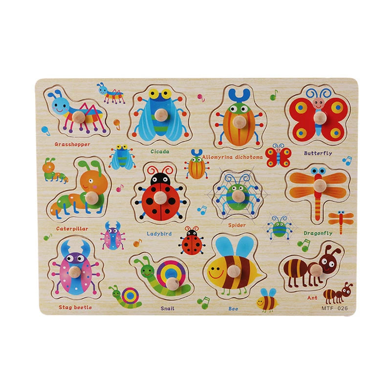 Montessori Wooden Puzzle Toy
