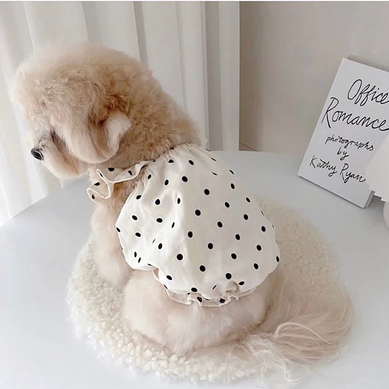 Niedliches Haustier Hund Kleid Punkt Hund Sommerkleid ung Welpen rock Chihuahua Bichon Französisch Bulldogge Kleidung dünnes Mädchen Hund Kostüm Katze Kleider
