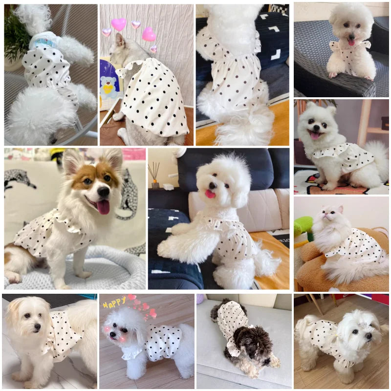 Niedliches Haustier Hund Kleid Punkt Hund Sommerkleid ung Welpen rock Chihuahua Bichon Französisch Bulldogge Kleidung dünnes Mädchen Hund Kostüm Katze Kleider