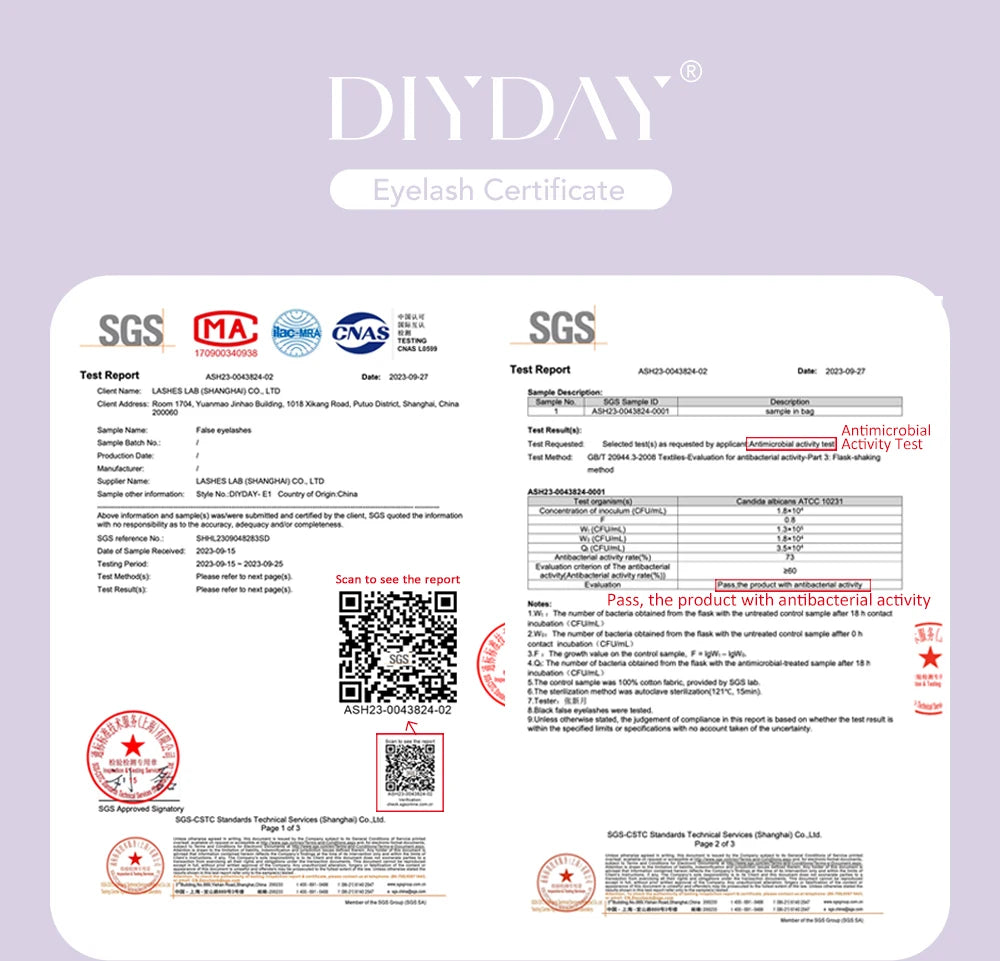 DIYDAY W-Form Wimpernverlängerung 3D 4D 5D 6D 7D 8D W Wimpern Natürliche weiche vorgefertigte Fächerblüteffekt-Augenwimpern für Schönheits-Make-up