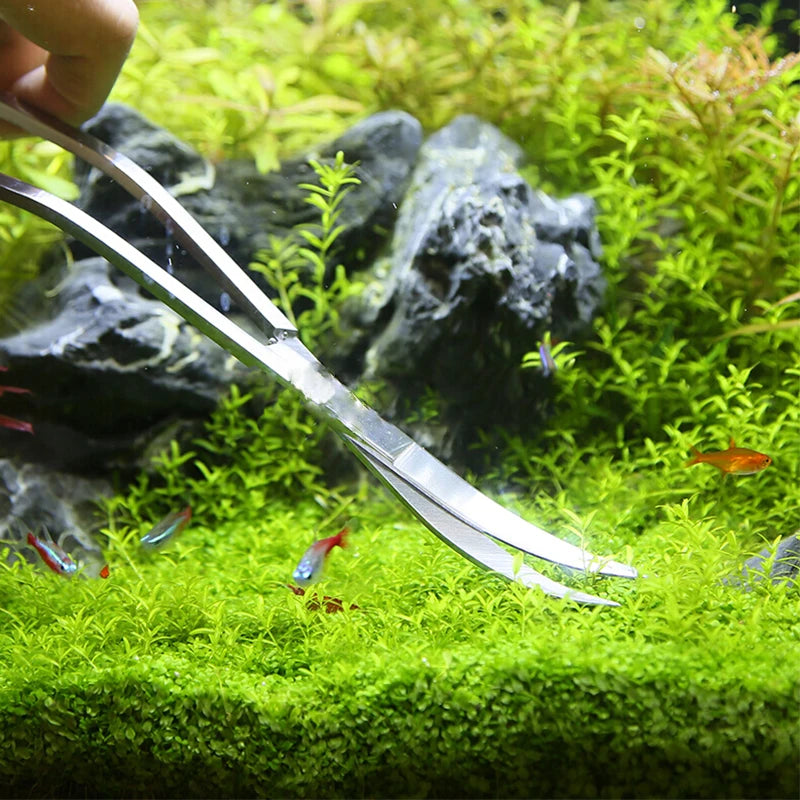 Aquarium Schere Werkzeuge Aquarium Pinzette Pflanzen Welle Schere Gras Edelstahl Reinigung Werkzeuge Lagerung Halter Aquarium Zubehör