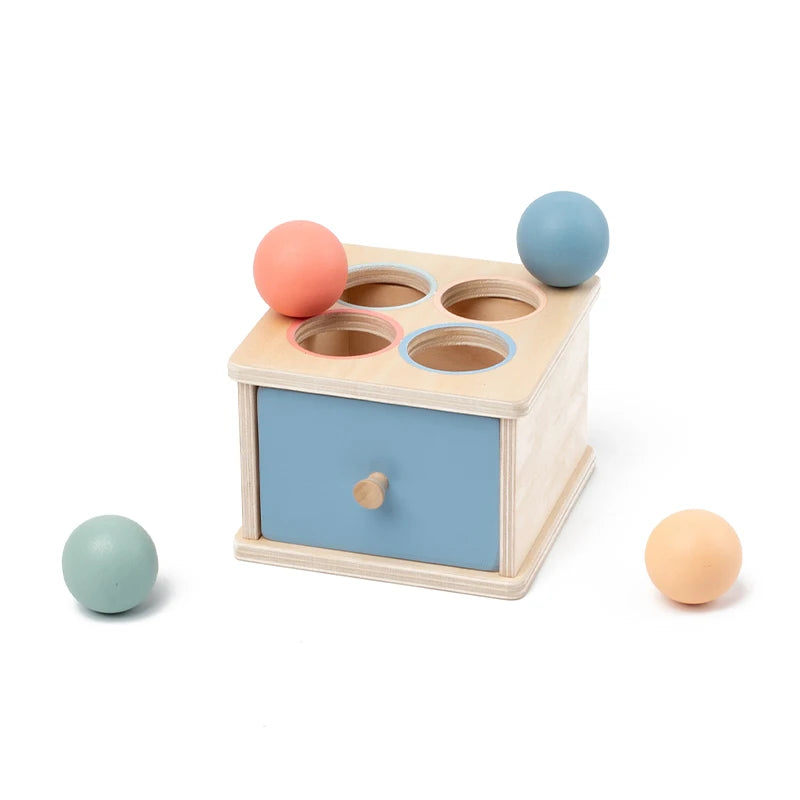 Holz-Formensortierspielzeug