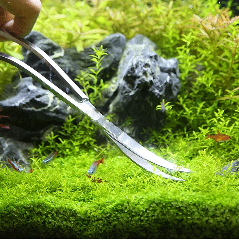 Aquarium Schere Werkzeuge Aquarium Pinzette Pflanzen Welle Schere Gras Edelstahl Reinigung Werkzeuge Lagerung Halter Aquarium Zubehör