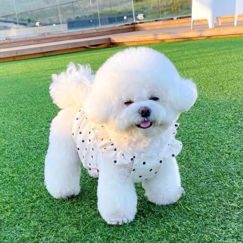 Niedliches Haustier Hund Kleid Punkt Hund Sommerkleid ung Welpen rock Chihuahua Bichon Französisch Bulldogge Kleidung dünnes Mädchen Hund Kostüm Katze Kleider