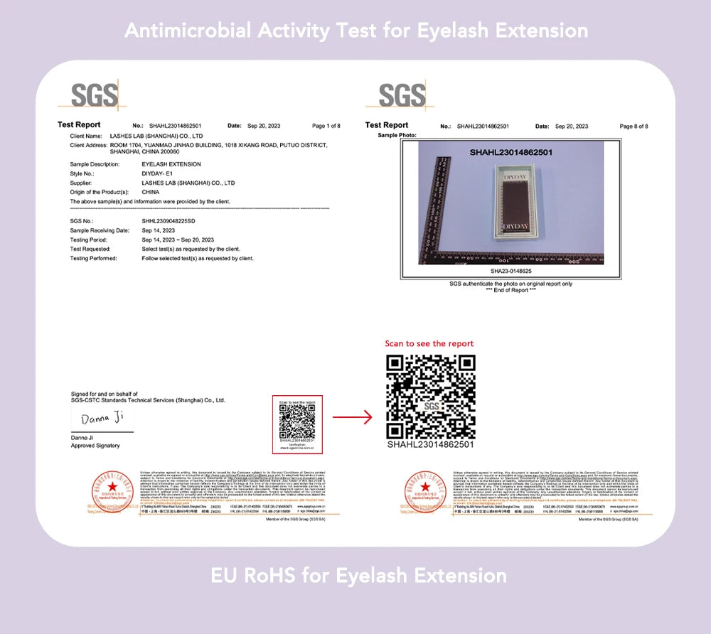 DIYDAY W-Form Wimpernverlängerung 3D 4D 5D 6D 7D 8D W Wimpern Natürliche weiche vorgefertigte Fächerblüteffekt-Augenwimpern für Schönheits-Make-up