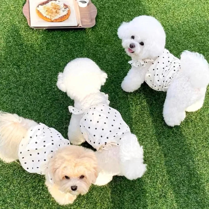 Niedliches Haustier Hund Kleid Punkt Hund Sommerkleid ung Welpen rock Chihuahua Bichon Französisch Bulldogge Kleidung dünnes Mädchen Hund Kostüm Katze Kleider