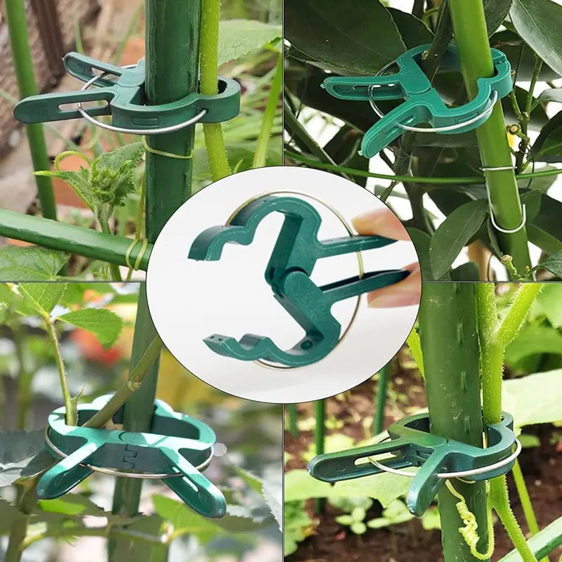 20 Stück feste Pflanzenklammern, wiederverwendbar, Garten-Gewächshaus-Halterung für feste Pflanzen, Weinreben, Blumen, Sämling, Stielstütze, Gartenbedarf