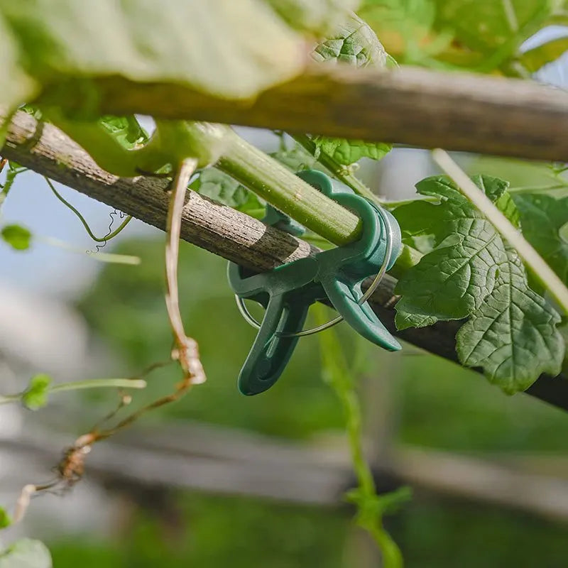 20 Stück feste Pflanzenklammern, wiederverwendbar, Garten-Gewächshaus-Halterung für feste Pflanzen, Weinreben, Blumen, Sämling, Stielstütze, Gartenbedarf