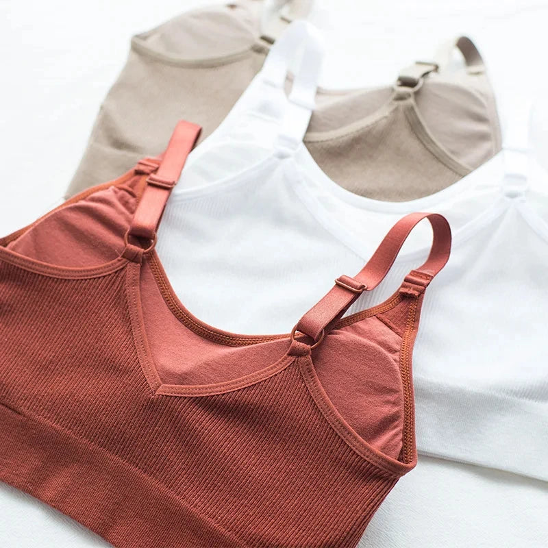 Sexy Unterwäsche Frauen Sammeln Kein Stahl Ring Dessous Bh Rohr Top Eingewickelt Brust Schönheit Zurück Aktivale Baumwolle Dünne Abschnitt Rohr Top